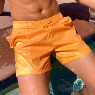 Cameleon Swimshorts