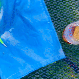 Cameleon Swimshorts
